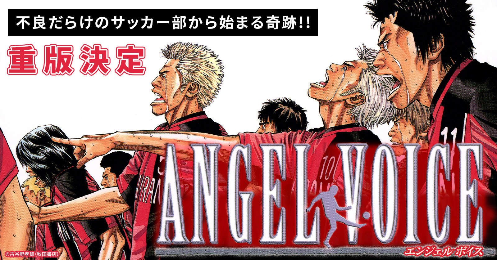 ANGEL VOICE 40 | 漫画全巻ドットコム